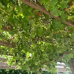 Ca' Palma *