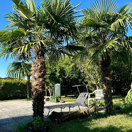 Ca' Palma Homestay szállás